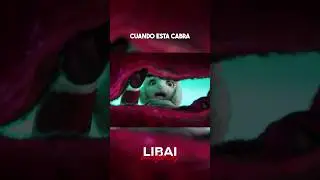 NO TODOS MERECEN SER PADRES | MY LITTLE GOAT
