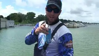 Catching bass with BaitCloud