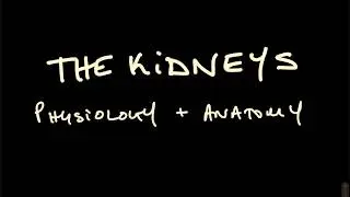 Medicine Revision Sessions ASMR | Renal Physiology - Part 1