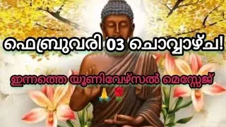 🙏✨ഫെബ്രുവരി 03 ചൊവ്വാഴ്ച!🙏✨ ഇന്നത്തെ യൂണിവേഴ്സൽ മെസ്സേജ് ആൻഡ് ബ്ലെസ്സിങ്സ്!🙏✨✨✨✨🧿🧿🧿🧿🌹🌹🌹🪶🪶🪶🧚🧚🧚🧚🧚😍💞🤗