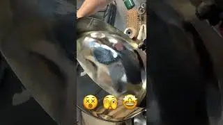 This steel drum was BADLY out of tune. Tuned it up and it&rsquo;s ready to go!