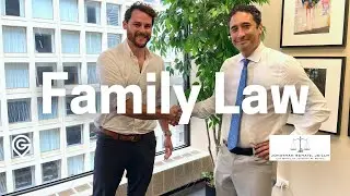 Chicago Family Law with Jonathan N. Schatz Ep. 29