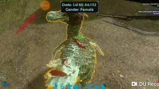 Ark survival evolved tamed 2 dodos need a flight bird (season 1 episode 1)