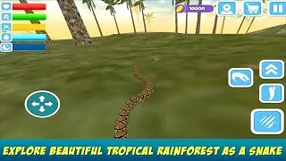 Python Snake Survival Simulator
