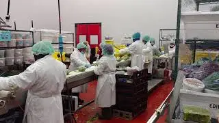 Assembly Food Conveyor (Part 2) - HI-Standard Machine