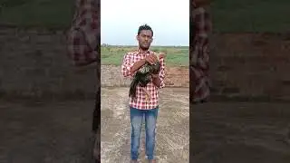 Parla jathi kollu.
