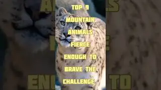 Top 9 Mountain Animals😱. #shorts. #short. #facts. #viral. #youtubeshorts. #dailyfacts.
