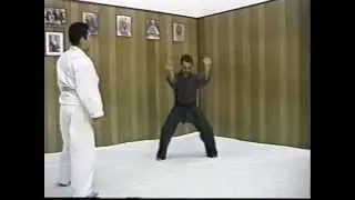 Okinawan White Crane - The Masters Series Tape #3 Gohoken