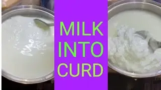 Milk into Curd using vinegar #shorts
