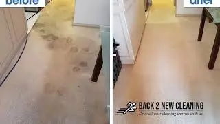 Back 2 New Carpet Cleaning Adelaide | Local Carpet Cleaning | 0410 452 014