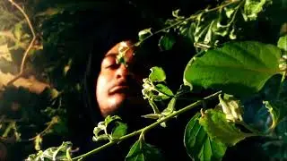 Ce Qei -  PE$TO