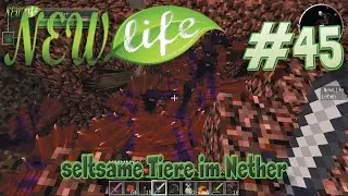 seltsame Tiere im Nether in Minecraft New Life #45
