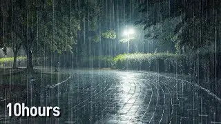 Rain Sounds on a Peaceful Park Path for Deep Sleep | Tinnitus Relief, Insomnia & White Noise