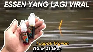 Alhamdulilah Ribuan Orang Sudah Pakai Essen Dekoy Nusantara