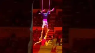 a dance of beauty and strength!#acrobat #tricks #акробатика #dance #трюки#sports#power#цирк#trick