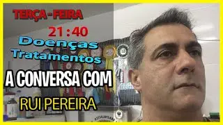 A conversa com - Rui Pereira - Criador de Canários - Tratamentos de Doenças - Portugal