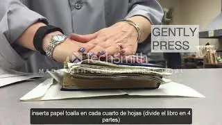 Rescate de un libro mojado