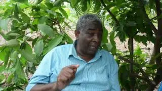 WILAYA YA  KUSINI NA KILIMO CHA MAWENI