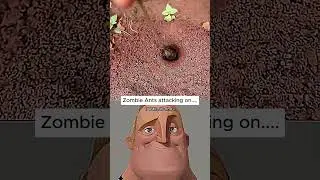 When Alien Crickets Meet Zombie Ants&hellip; Unbelievable!