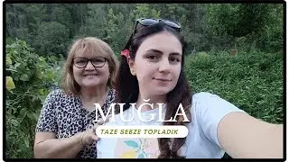 От фермы до стола: мы собирали овощи на плато Мугла #muğla #placestotravelinmuğla