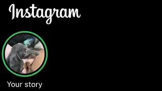 What Means Green Circle On Instagram Story