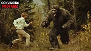 Top 10 Most Convincing Bigfoot Sightings Ever Recorded