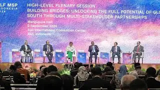 High Level Forum on Multi Stakeholders Partnerships 2024 HLF MSP