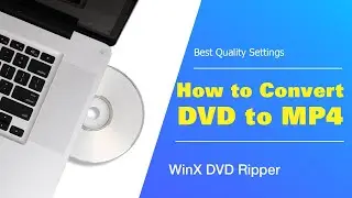 How to Convert DVD to MP4 in High Quality (The Best Settings 2026)