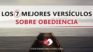 🙇 Los 7 Mejores Vers&iacute;culos sobre Obediencia