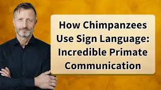 How Chimpanzees Use Sign Language: Incredible Primate Communication