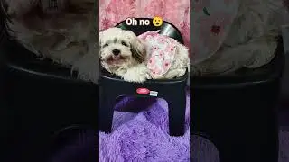 Our Chuchai 🥰