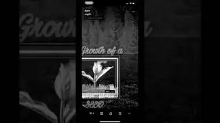 #fyp #shorts #rap #mexicanrapper