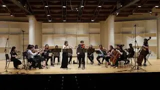 Mu-Tao Chang play Mozart Sinfonia Concertante