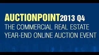 AuctionPoint2013 Q4 - Overview