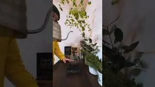 ケメックスでコーヒーを始める朝