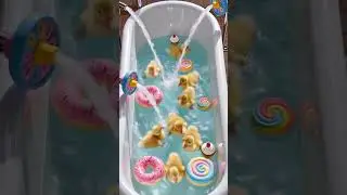 Duckling Cute Waterwheel Bath 🪿 #duck #short #viral #viralvideo #ytshorts #funny #funnyduck #cute
