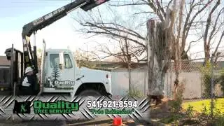 Quality Tree Service Medford, Oregon