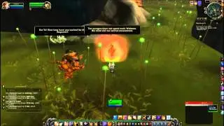 Corruption Runs Deep Quest - World of Warcraft
