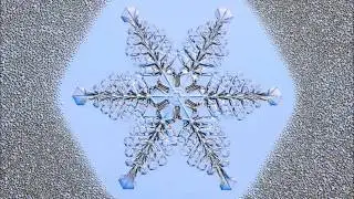 Birth of a Snow Crystal