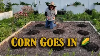 Three Sisters Part 2 🌽 Planting Corn in My 10&times;10 Mound Bed