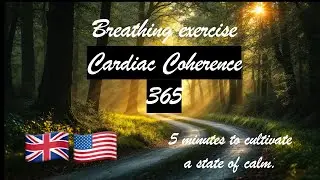 Breathing Exercise : Cardiac Coherence 365 (Forest Ambiance)