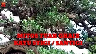 Mitos Tuah Ghaib Kayu Stigi