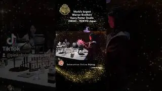 Interactive Potion Making - newly opened Warner Bros Harry Potter Studio Tokyo #harrypotter #japan