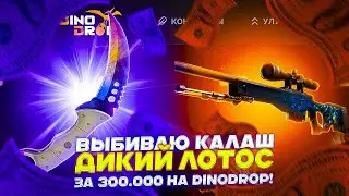 ВЫБИВАЮ КАЛАШ ДИКИЙ ЛОТОС ЗА 300 000 НА DINODROP!