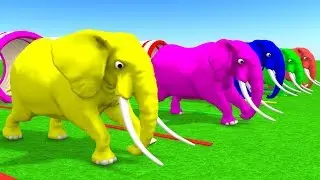 Learn Colors Learn Animals for Children Finger Family | Colour Elephant Daddy Finger Video for Kids