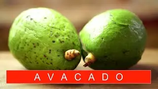 #Avacadosalad #Avacadosweet #Avacadomilkshake #Avacadojuice ರುಚಿಯಾದ ಆರೋಗ್ಯಕರ ಬೆಣ್ಣೆ ಹಣ್ಣು ರೆಸಿಪಿ