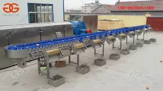 Automatic weight sorting machine video