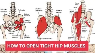 How To Open Tight Hip Muscles ? #yoga #hipopening  #yogavideos