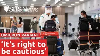 What we know about the new COVID-19 variant Omicron | SBS News