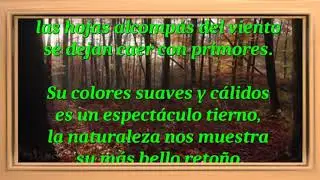 LA PLATA FILMS JEREZ / EN EL OTO&Ntilde;O DEL BOSQUE